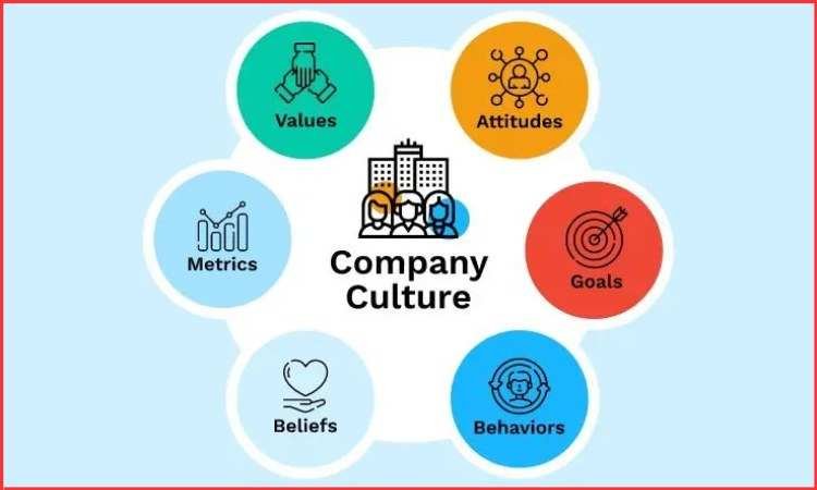 Best Company Cultures to Work 